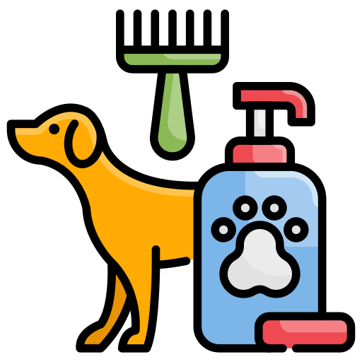 Cleanliness & Hygiene